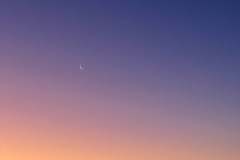 Crescent Moon and Venus
