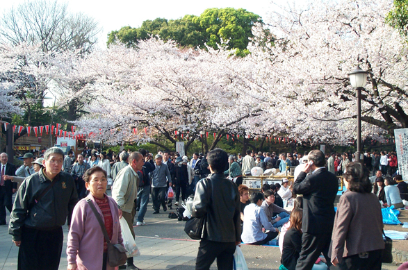 2055 ueno park: 