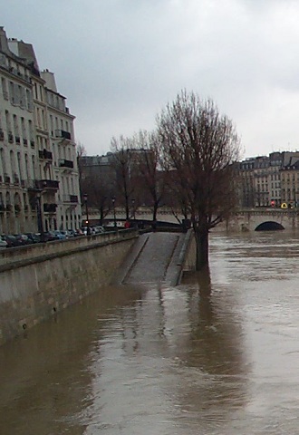 flooded seine: 