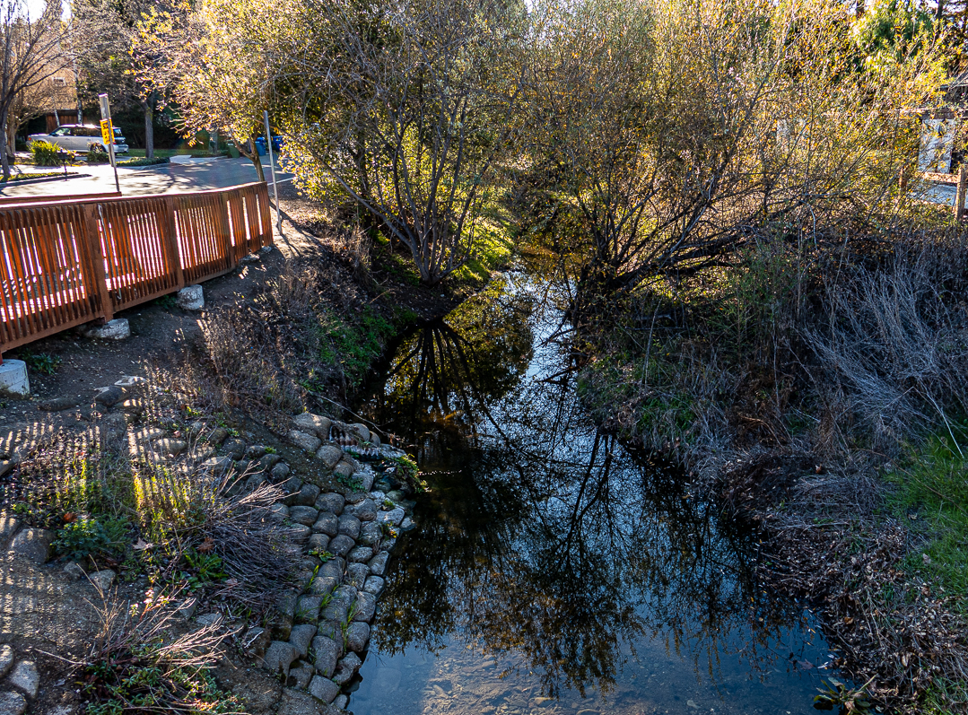 Reflections in Ross Creek