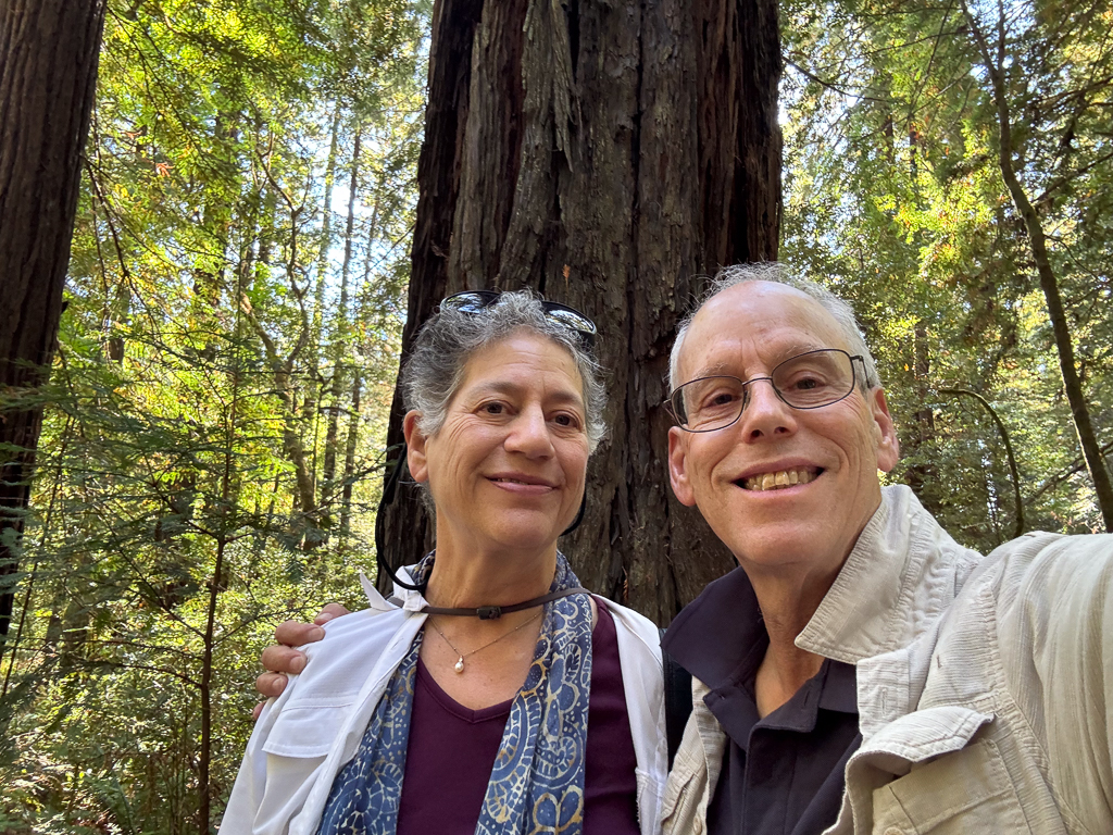 A woman and a man standing in front of a giant redwood tree in the middle of a forest